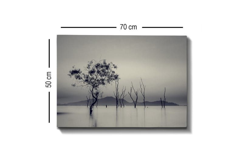 Canvas-taulu - Yksinäinen puu sumuisessa vesimaisemassa - Musta / Harmaa / Valkoinen - Sisustustuotteet - Taulu & taide - Canvas-taulu