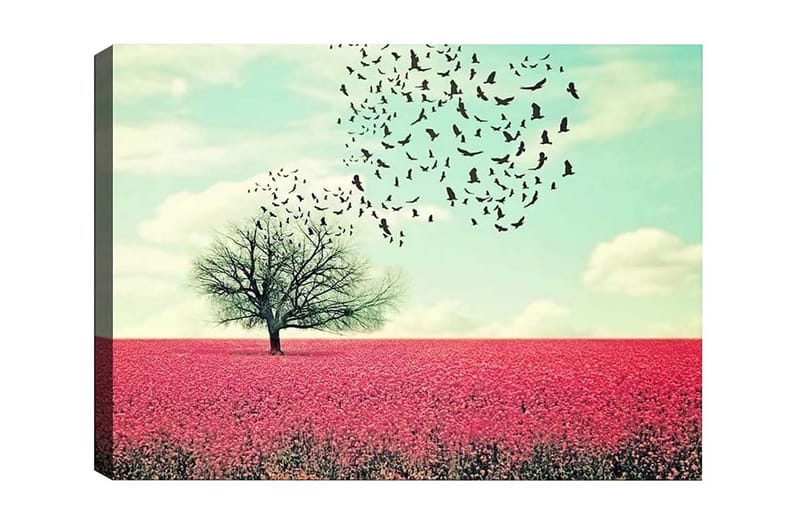 Canvas-taulu - Yksinäinen puun latvus kukkivassa vaaleanpunaisten kukkien niityssä - Vaaleanpunainen / Taivaansininen / Musta - Sisustustuotteet - Taulu & taide - Canvas-taulu