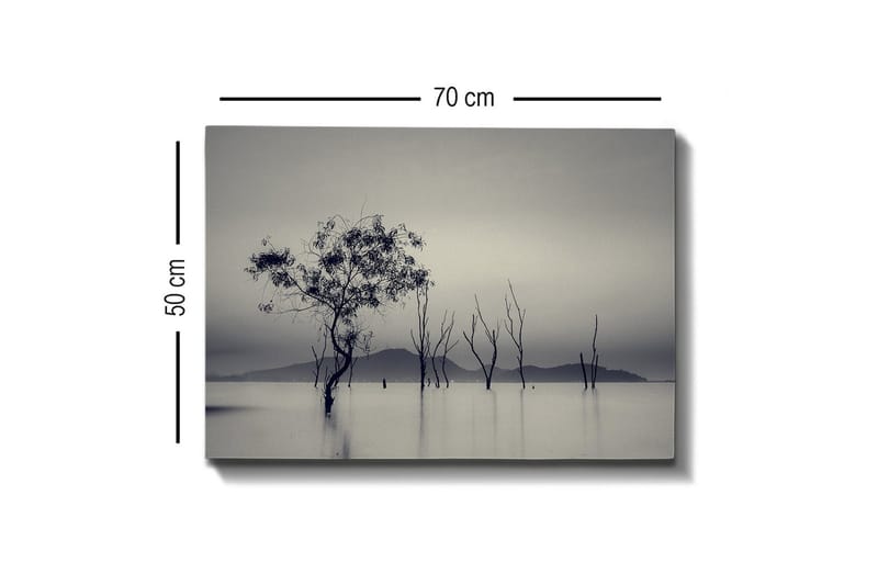 Canvas-taulu - Yksinäinen puu sumuisessa vesimaisemassa - Musta / Harmaa / Valkoinen - Sisustustuotteet - Taulu & taide - Canvas-taulu