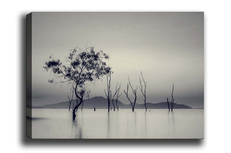 Canvas-taulu - Yksinäinen puu sumuisessa vesimaisemassa, Musta / Harmaa / Valkoinen
