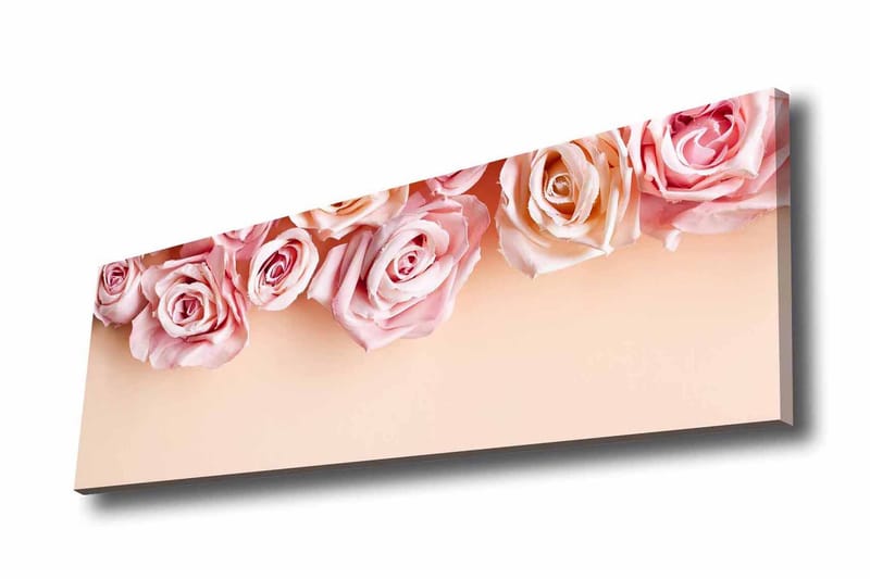 Canvas-taulu - Pehmeän sävyisiä vaaleanpunaisia ruusuja vaalealla taustalla - Vaaleanpunainen / Tummanpunainen / Beige - Sisustustuotteet - Taulu & taide - Canvas-taulu