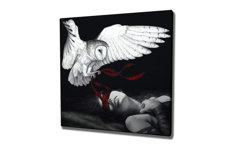 Canvas-taulu - Pöllö leijuu nukkuvan henkilön yllä punaisilla nauhoilla, Valkoinen / Musta / Punainen