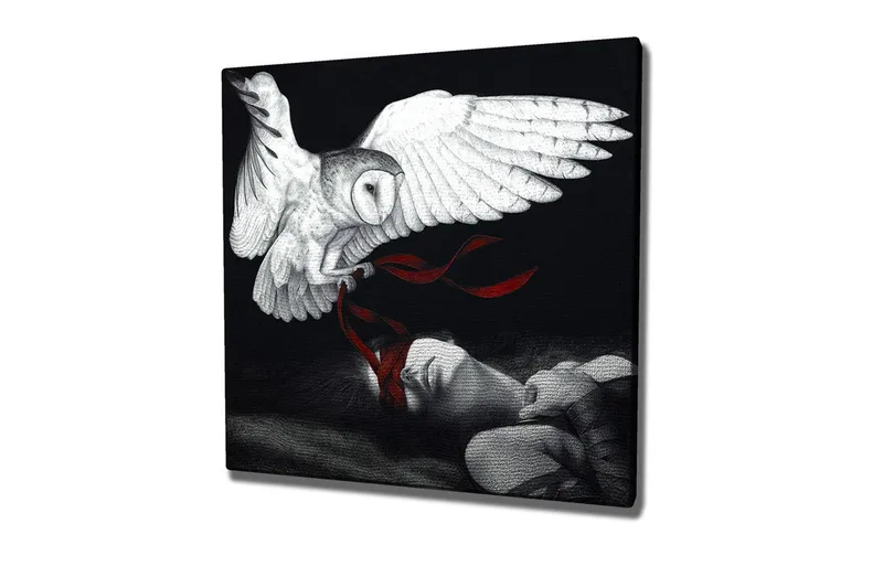 Canvas-taulu - Pöllö leijuu nukkuvan henkilön yllä punaisilla nauhoilla, Valkoinen / Musta / Punainen