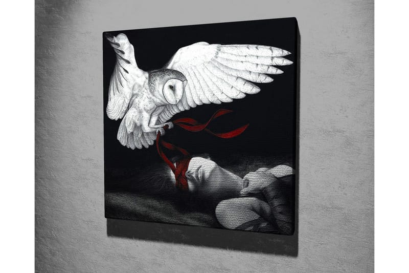 Canvas-taulu - Pöllö leijuu nukkuvan henkilön yllä punaisilla nauhoilla - Valkoinen / Musta / Punainen - Sisustustuotteet - Taulu & taide - Canvas-taulu