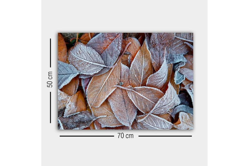 Canvas-taulu - Pakkasiset syksyn lehdet lämpimissä sävyissä - Oranssi / Harmaa / Valkoinen - Sisustustuotteet - Taulu & taide - Canvas-taulu