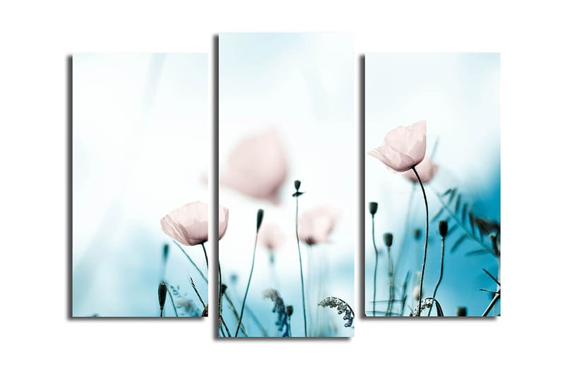 Canvastaulu 3-pak Monivärinen - 20x39 cm - Sisustustuotteet - Taulu & taide - Canvas-taulu