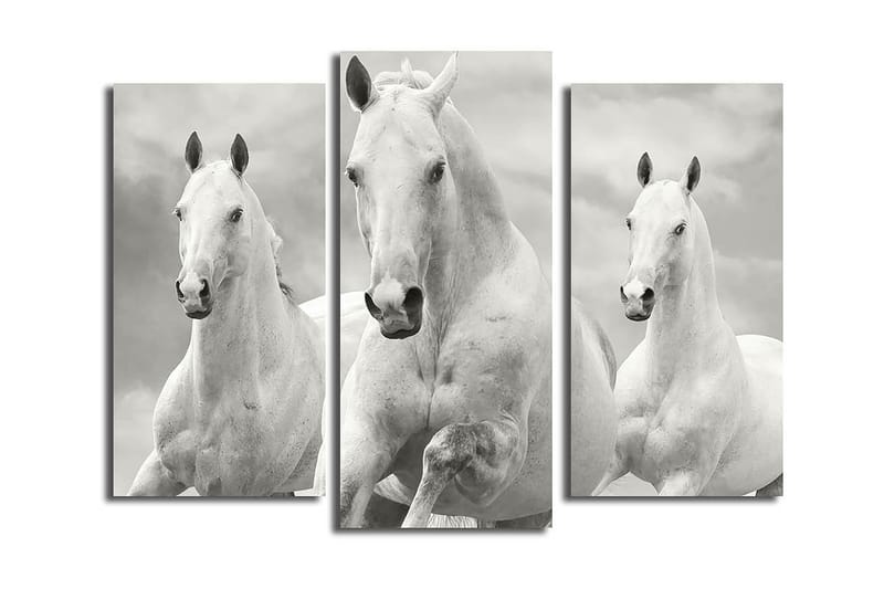 Canvastaulu 3-pak Monivärinen - 20x39 cm - Sisustustuotteet - Taulu & taide - Canvas-taulu