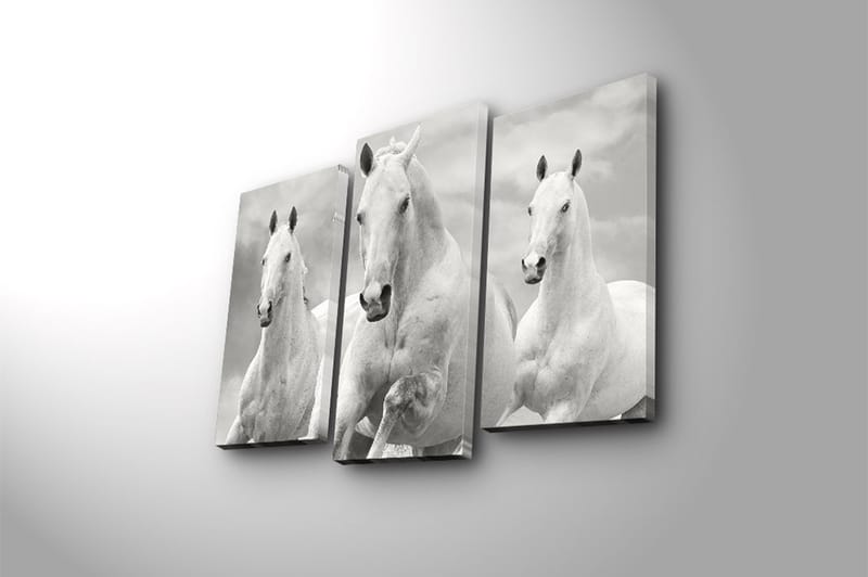Canvastaulu 3-pak Monivärinen - 20x39 cm - Sisustustuotteet - Taulu & taide - Canvas-taulu