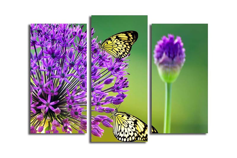 Canvastaulu 3-pak Monivärinen - 20x39 cm - Sisustustuotteet - Taulu & taide - Canvas-taulu