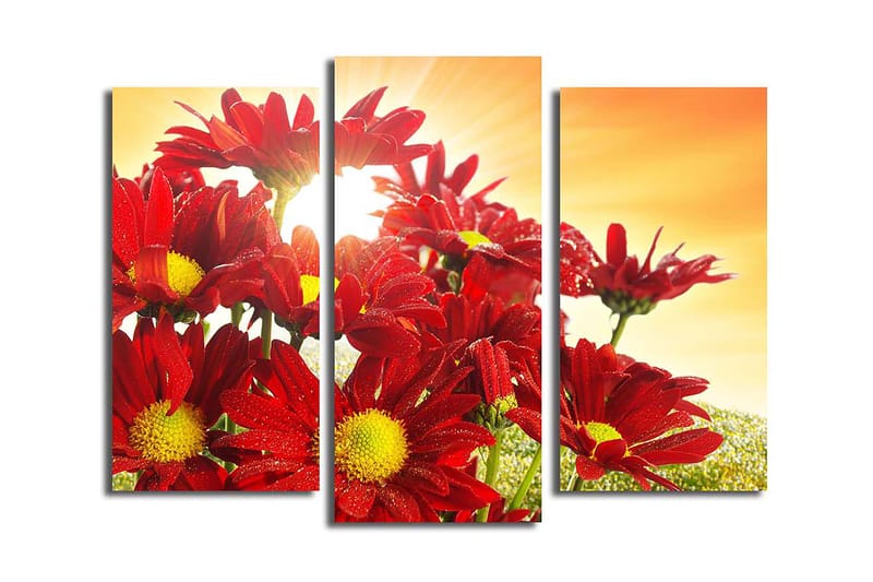 Canvastaulu 3-pak Monivärinen - 20x39 cm - Sisustustuotteet - Taulu & taide - Canvas-taulu