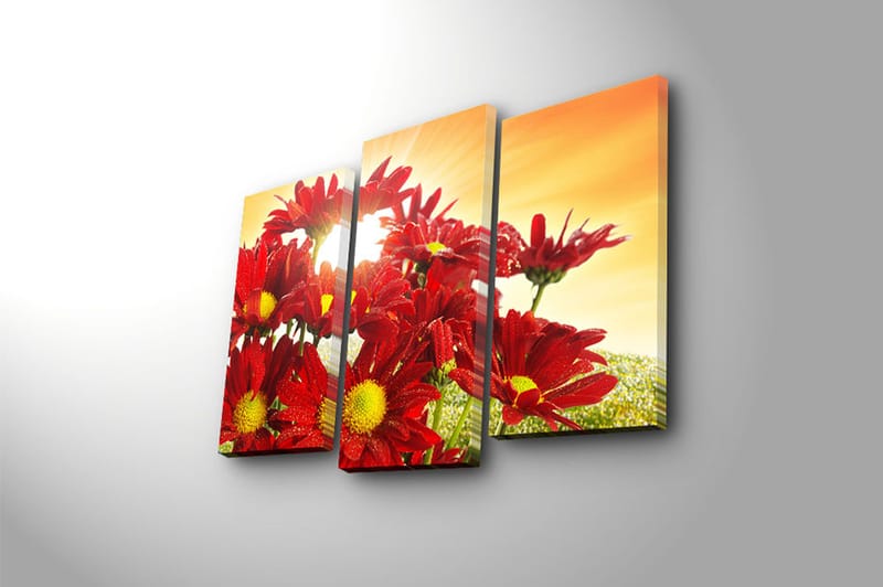 Canvastaulu 3-pak Monivärinen - 20x39 cm - Sisustustuotteet - Taulu & taide - Canvas-taulu