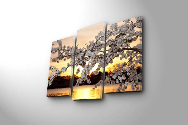 Canvastaulu 3-pak Monivärinen - 20x39 cm - Sisustustuotteet - Taulu & taide - Canvas-taulu