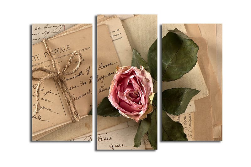 Canvastaulu 3-pak Monivärinen, 20x39 cm