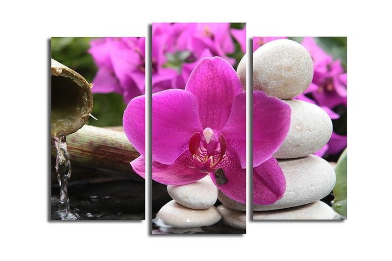 Canvastaulu 3-pak Monivärinen - 20x39 cm - Sisustustuotteet - Taulu & taide - Canvas-taulu