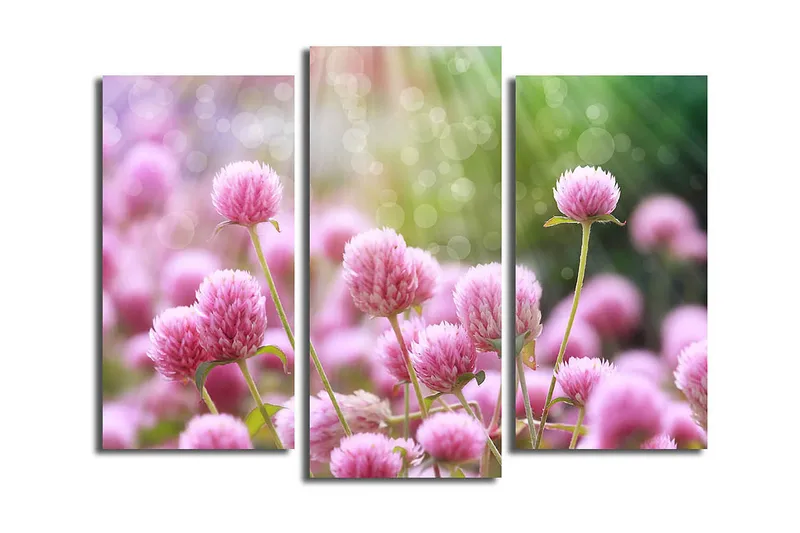 Canvastaulu 3-pak Monivärinen, 20x39 cm