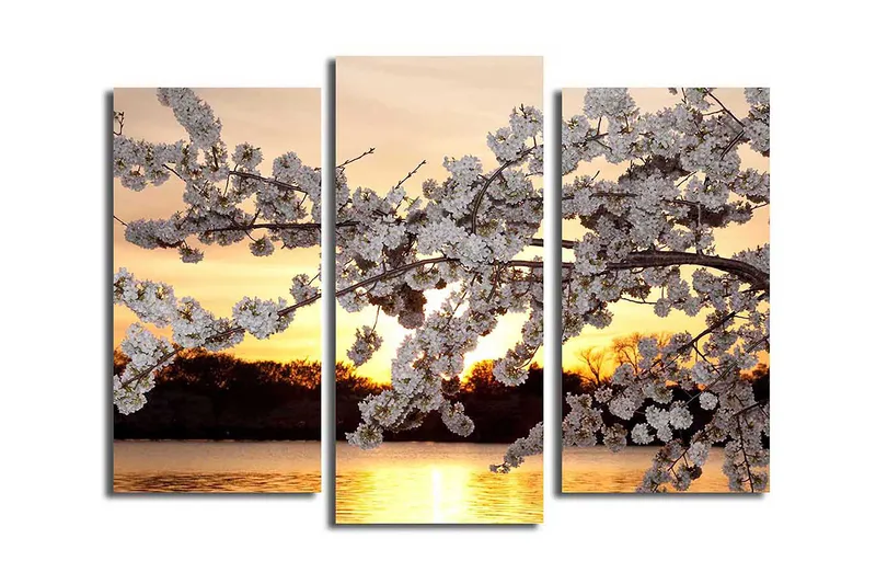 Canvastaulu 3-pak Monivärinen, 20x39 cm