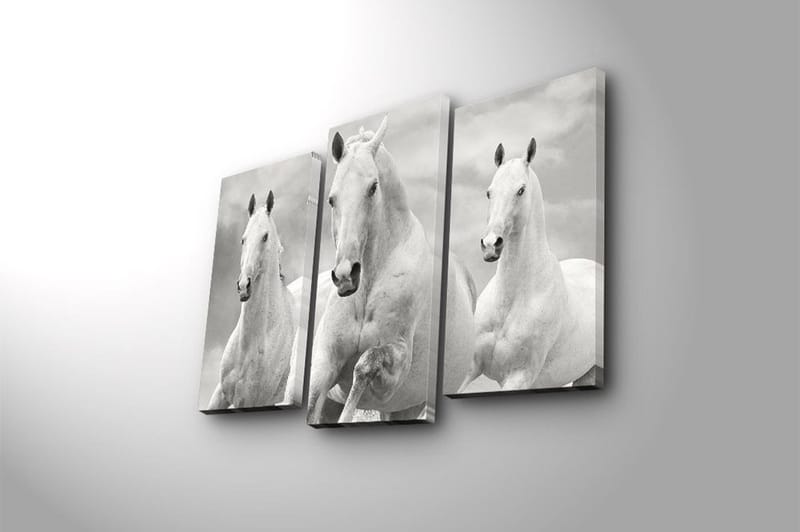 Canvastaulu 3-pak Monivärinen - 20x39 cm - Sisustustuotteet - Taulu & taide - Canvas-taulu