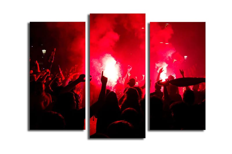 Canvastaulu 3-pak Monivärinen, 20x39 cm