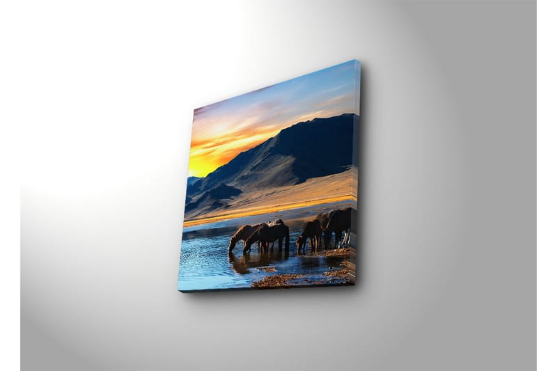 Canvastaulu 45x45 cm - Hevoset juovat peilimäisellä järvellä kauniissa vuoristomaisemassa - Sininen / Oranssi / Ruskea - Sisustustuotteet - Taulu & taide - Canvas-taulu