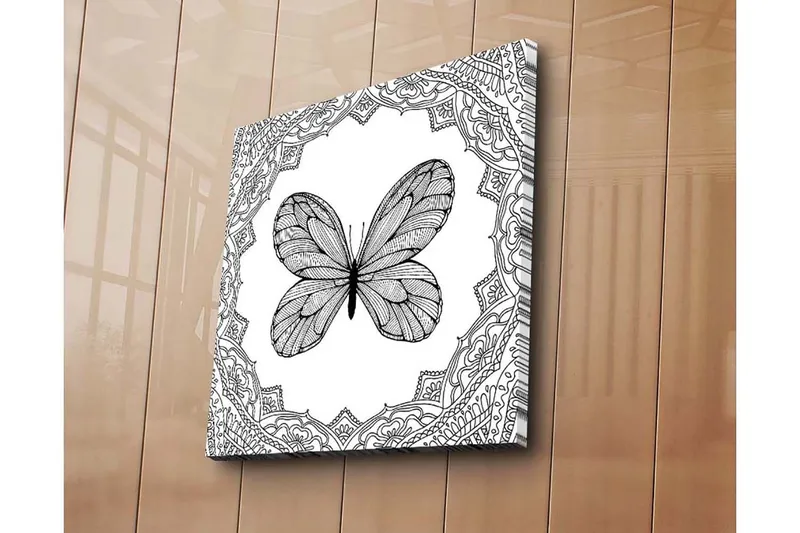 Canvastaulu 45x45 cm - Musta perhonen yksityiskohtaisella kuviokehyksellä, Musta / Valkoinen