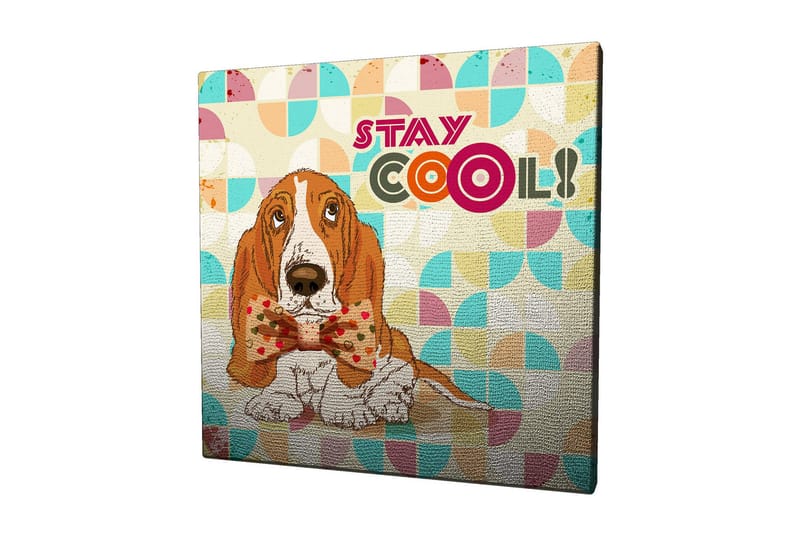 Canvastaulu 45x45 cm - Söpö basset siistillä rusetilla, Oranssi / Sininen / Beige