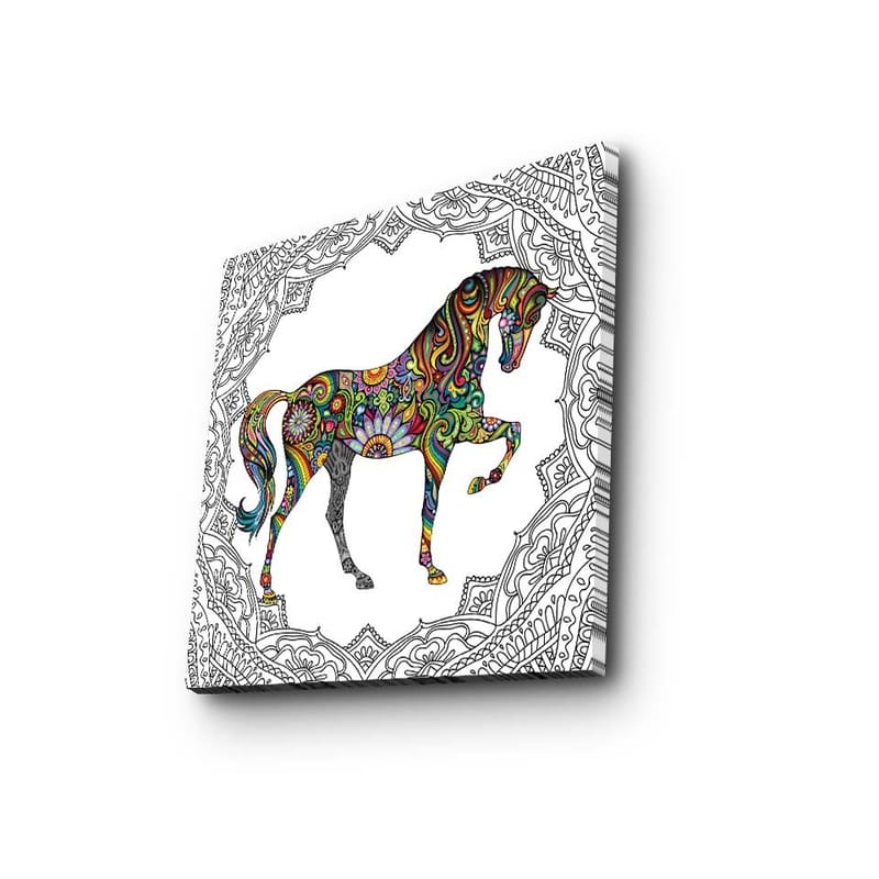 Canvastaulu 45x45 cm - Värikäs hevosaihe kuvioin ja yksityiskohdin, Punainen / Vihreä / Sininen