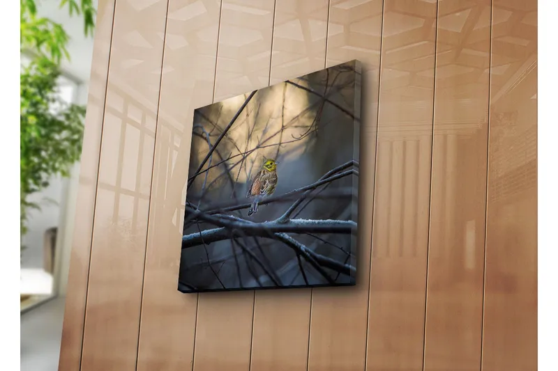 Canvastaulu 45x45 cm - Värikäs lintu oksalla oksien ja sumun ympäröimänä - Keltainen / Ruskea / Harmaa - Sisustustuotteet - Taulu & taide - Canvas-taulu