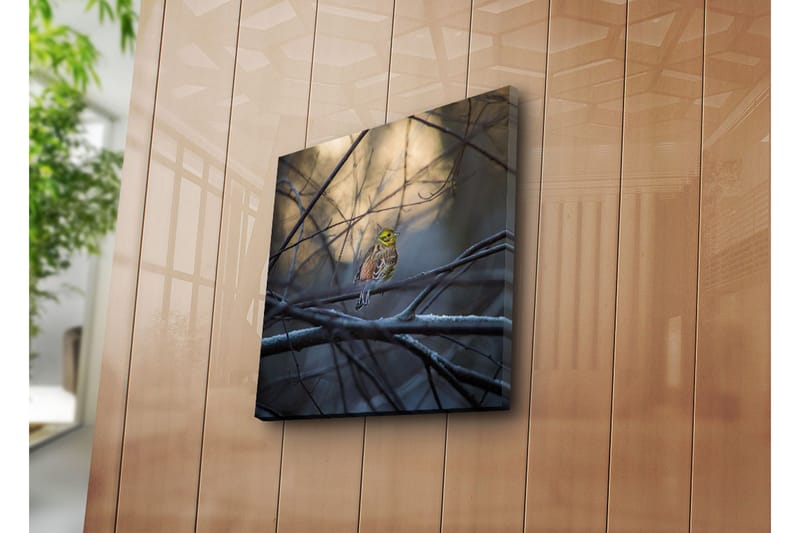 Canvastaulu 45x45 cm - Värikäs lintu oksalla oksien ja sumun ympäröimänä - Keltainen / Ruskea / Harmaa - Sisustustuotteet - Taulu & taide - Canvas-taulu