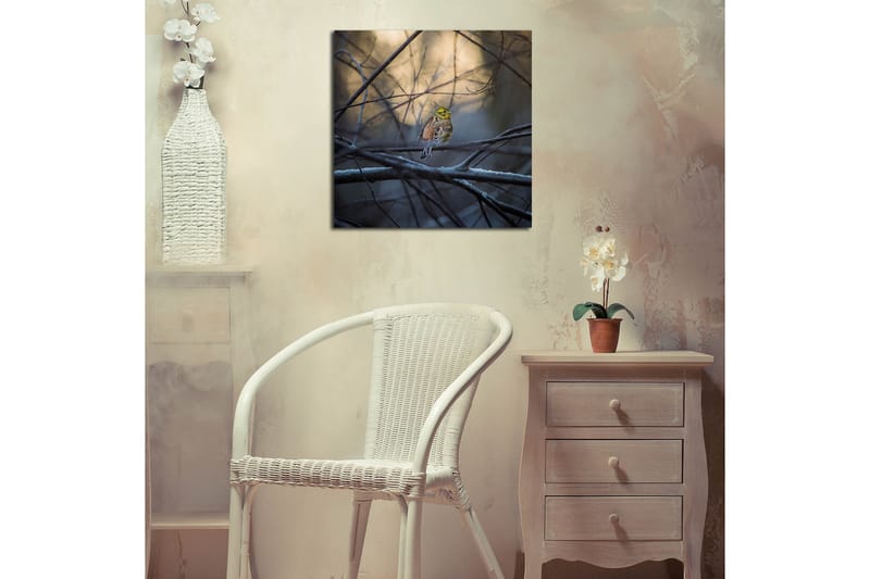 Canvastaulu 45x45 cm - Värikäs lintu oksalla oksien ja sumun ympäröimänä - Keltainen / Ruskea / Harmaa - Sisustustuotteet - Taulu & taide - Canvas-taulu