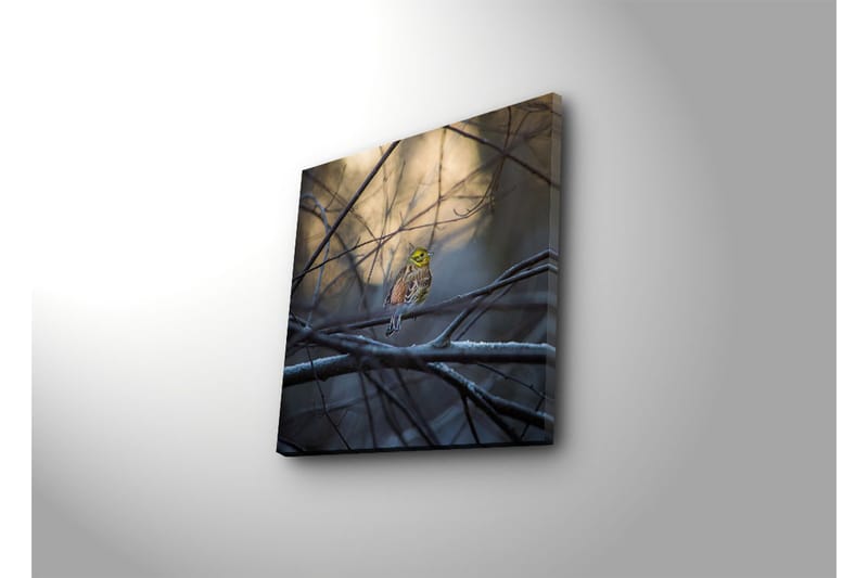 Canvastaulu 45x45 cm - Värikäs lintu oksalla oksien ja sumun ympäröimänä - Keltainen / Ruskea / Harmaa - Sisustustuotteet - Taulu & taide - Canvas-taulu