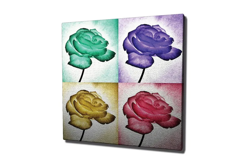 Canvastaulu 45x45 cm - Värikäs ruusu neljässä eri sävyssä, Vihreä / Violetti / Keltainen