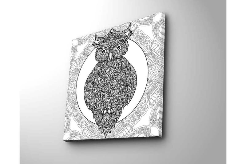 Canvastaulu 45x45 cm - Pöllö monimutkaisilla kuvioilla mustavalkoisena - Musta / Valkoinen - Sisustustuotteet - Taulu & taide - Canvas-taulu