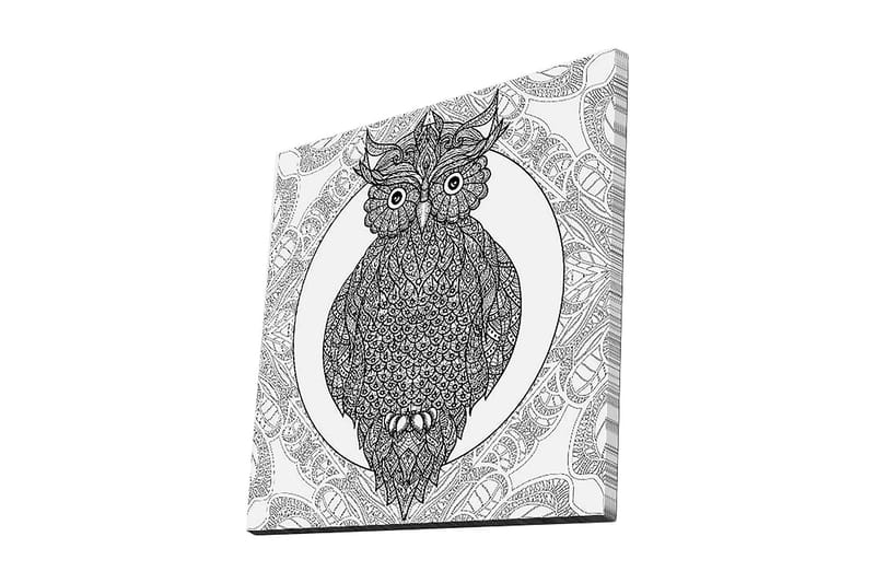 Canvastaulu 45x45 cm - Pöllö monimutkaisilla kuvioilla mustavalkoisena - Musta / Valkoinen - Sisustustuotteet - Taulu & taide - Canvas-taulu