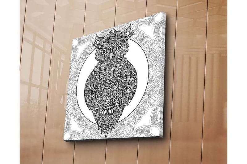 Canvastaulu 45x45 cm - Pöllö monimutkaisilla kuvioilla mustavalkoisena - Musta / Valkoinen - Sisustustuotteet - Taulu & taide - Canvas-taulu