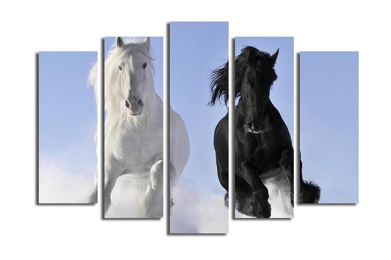 Canvastaulu 5-pak Monivärinen - 19x60 cm - Sisustustuotteet - Taulu & taide - Canvas-taulu