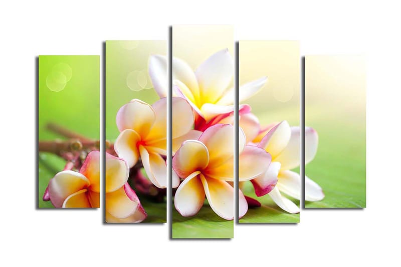 Canvastaulu 5-pak Monivärinen - 19x60 cm - Sisustustuotteet - Taulu & taide - Canvas-taulu
