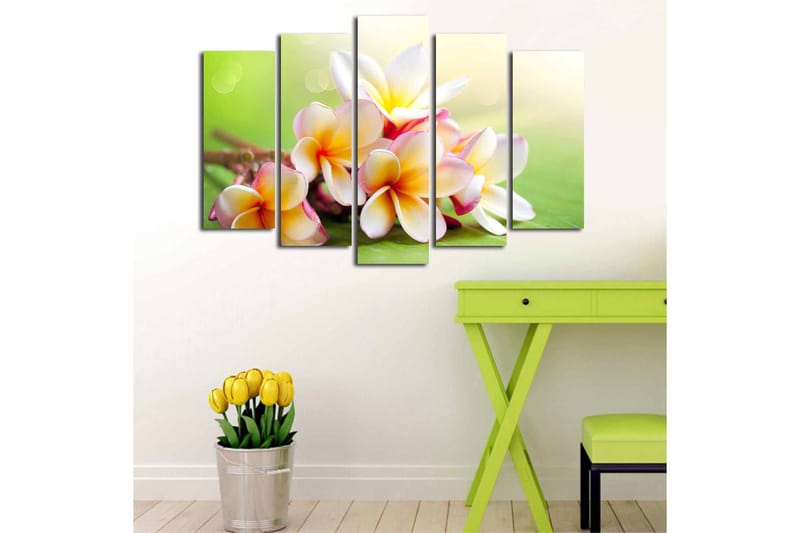 Canvastaulu 5-pak Monivärinen - 19x60 cm - Sisustustuotteet - Taulu & taide - Canvas-taulu