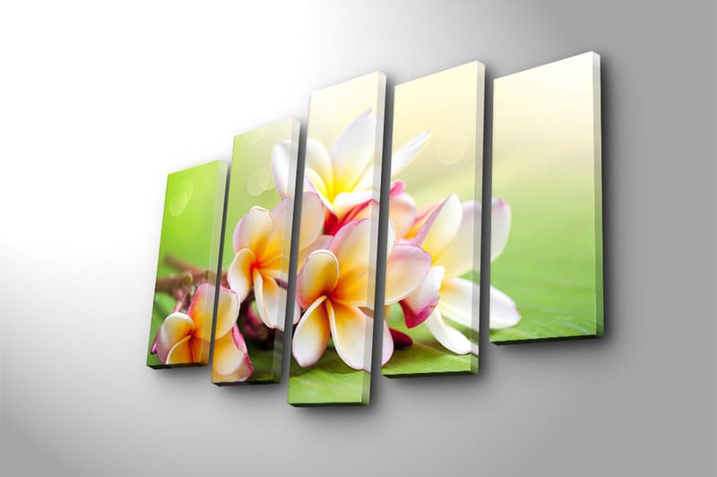Canvastaulu 5-pak Monivärinen - 19x60 cm - Sisustustuotteet - Taulu & taide - Canvas-taulu