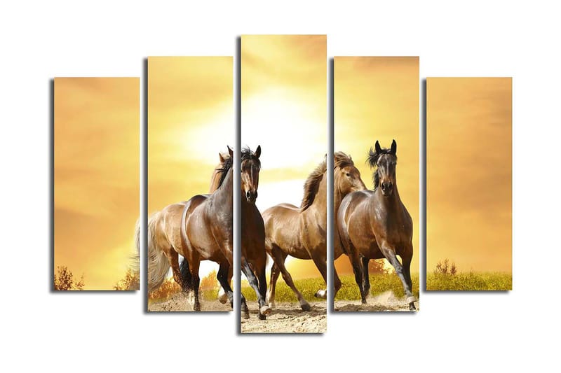 Canvastaulu 5-pak Monivärinen - 19x60 cm - Sisustustuotteet - Taulu & taide - Canvas-taulu