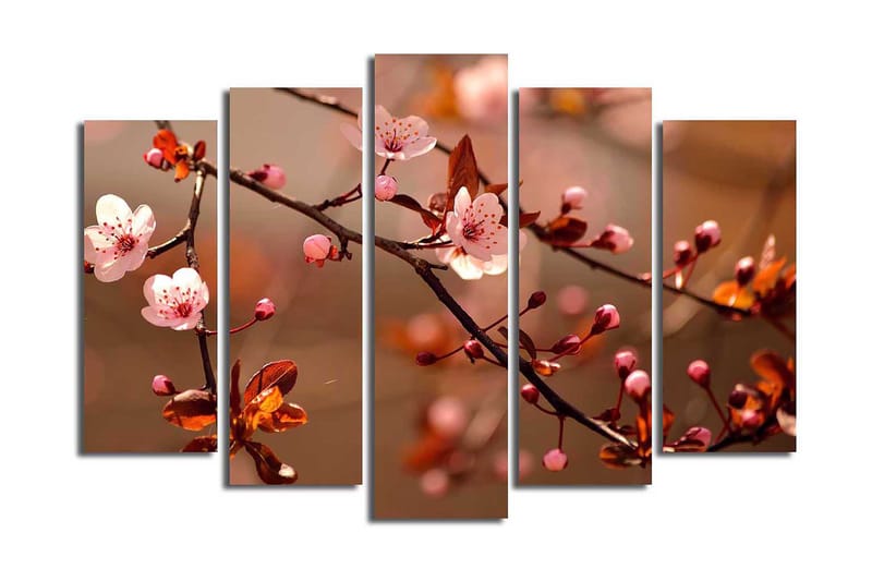 Canvastaulu 5-pak Monivärinen, 19x60 cm