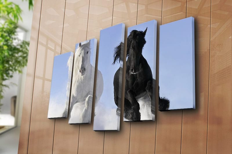 Canvastaulu 5-pak Monivärinen - 19x60 cm - Sisustustuotteet - Taulu & taide - Canvas-taulu