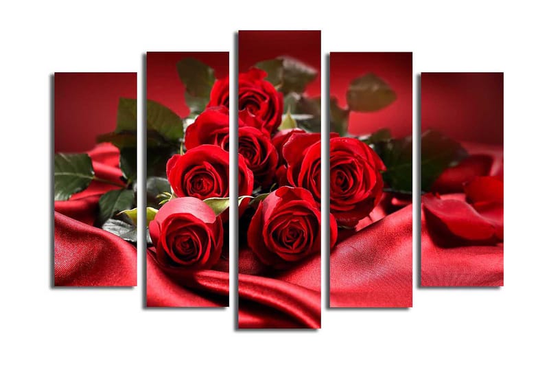 Canvastaulu 5-pak Monivärinen, 19x60 cm