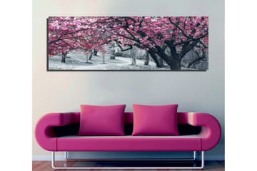 Canvastaulu 80x30 cm - Kukkivia kirsikkapuita mustavalkoisessa maisemassa - Vaaleanpunainen / Musta - Sisustustuotteet - Taulu & taide - Canvas-taulu