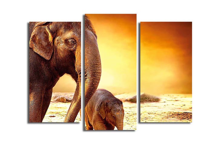 Canvastaulu Animal 3-pak Monivärinen - 20x39 cm - Canvas-taulu - Seinäkoristeet