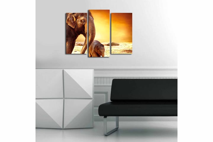 Canvastaulu Animal 3-pak Monivärinen - 20x39 cm - Canvas-taulu - Seinäkoristeet