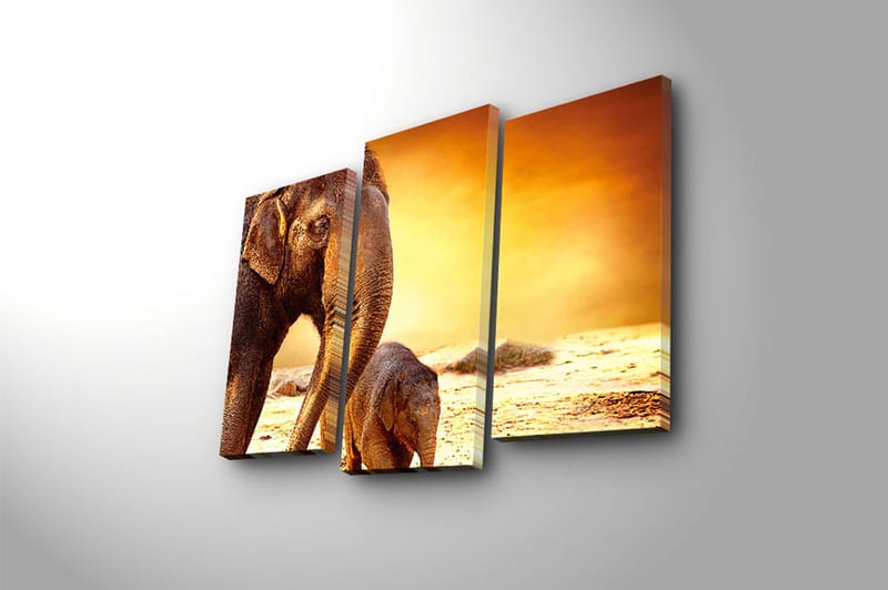 Canvastaulu Animal 3-pak Monivärinen - 20x39 cm - Sisustustuotteet - Taulu & taide - Canvas-taulu