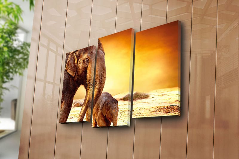 Canvastaulu Animal 3-pak Monivärinen - 20x39 cm - Sisustustuotteet - Taulu & taide - Canvas-taulu