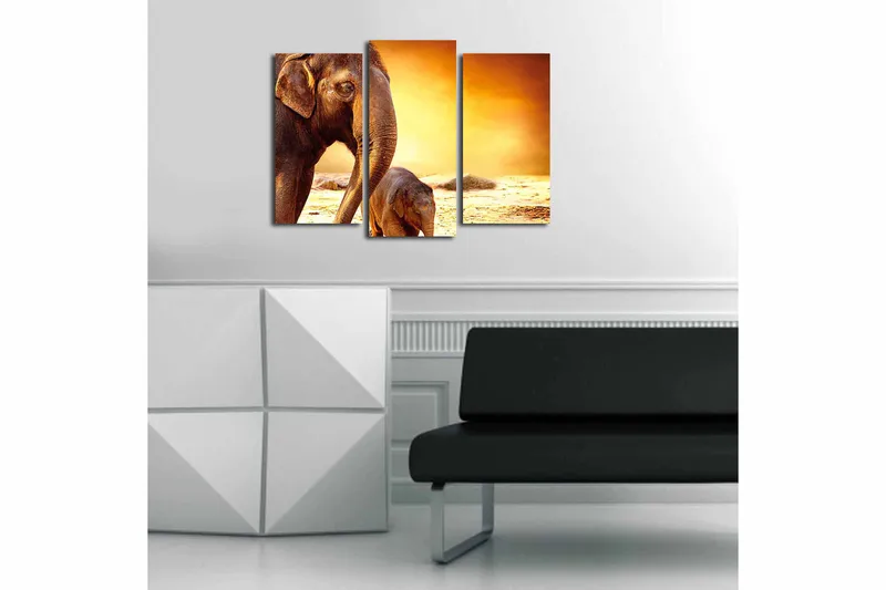 Canvastaulu Animal 3-pak Monivärinen - 20x39 cm - Sisustustuotteet - Taulu & taide - Canvas-taulu