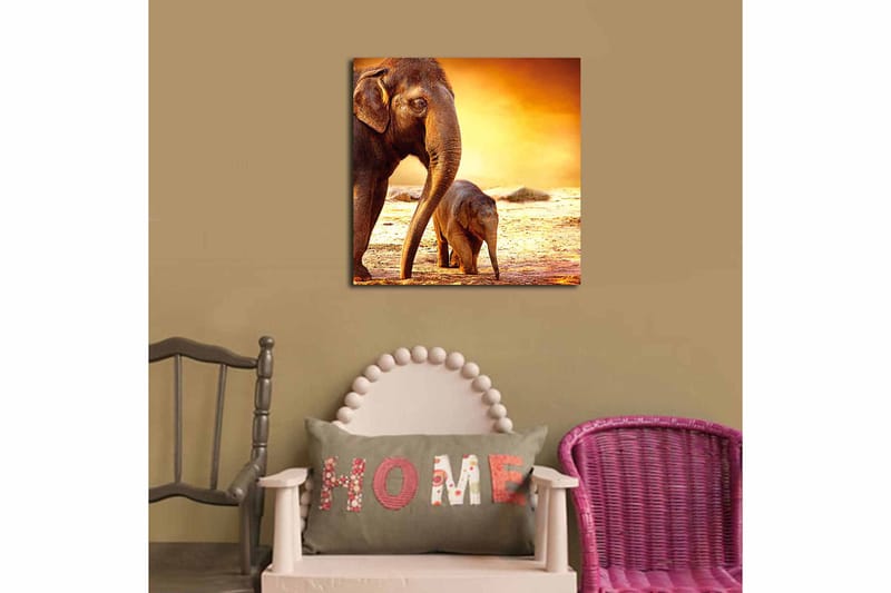 Canvastaulu Animal Monivärinen - 45x45 cm - Sisustustuotteet - Taulu & taide - Canvas-taulu