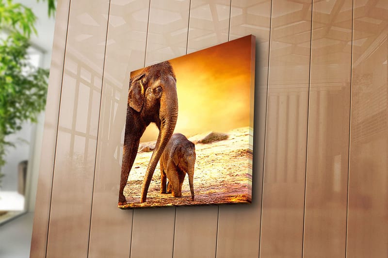 Canvastaulu Animal Monivärinen - 45x45 cm - Sisustustuotteet - Taulu & taide - Canvas-taulu
